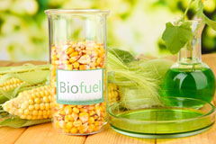 Hopes Rough biofuel availability
